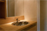 badkamer met wastafel en de douche.